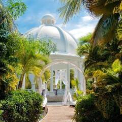 Отель Melia Caribe Tropical - Все включено Доминикана, Пунта Кана - 9 отзывов об отеле, цены и фото номеров - забронировать отель Melia Caribe Tropical - Все включено онлайн фото 3
