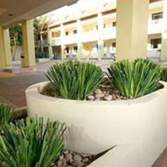 Отель Brisas Del Mar Rosarito Beach интерьер отеля фото 3