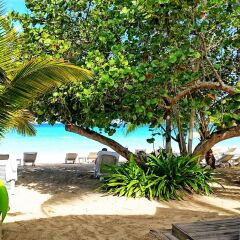 Отель Idle Awhile Resort Ямайка, Саванна-Ла-Мар - отзывы, цены и фото номеров - забронировать отель Idle Awhile Resort онлайн приотельная территория