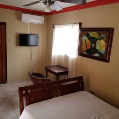 Daniella Inn Hotel in Carrefour, Haiti from 56$, photos, reviews - zenhotels.com guestroom photo 2