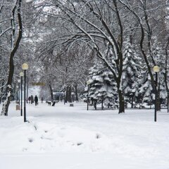 Отель Жовтневый Днепр спортивное сооружение