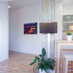 Отель SanSebastianForYou Zurriola Apartment Испания, Сан-Себастьян - отзывы, цены и фото номеров - забронировать отель SanSebastianForYou Zurriola Apartment онлайн удобства в номере