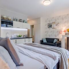 Апартаменты Terrace Apartment Prague в номере