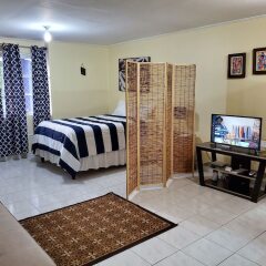 Апартаменты Norwood Studio комната для гостей фото 2