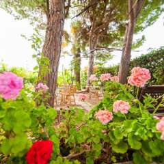 Отель B&B Residence L'isola che non c'è Фонтане-Бьянке фото 14