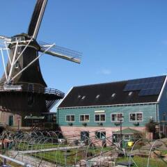 Отель B&B Houseboat between Amsterdam Windmills Нидерланды, Амстердам - отзывы, цены и фото номеров - забронировать отель B&B Houseboat between Amsterdam Windmills онлайн фото 6