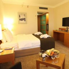 Отель Mercure Istanbul The Plaza Bosphorus в номере