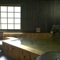 Отель Guest House Kotohira Япония, Хита - отзывы, цены и фото номеров - забронировать отель Guest House Kotohira онлайн бассейн