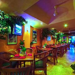 Отель Paradise Inn гостиничный бар