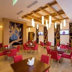 Отель Ararat Resort Армения, Цахкадзор - отзывы, цены и фото номеров - забронировать отель Ararat Resort онлайн питание фото 3