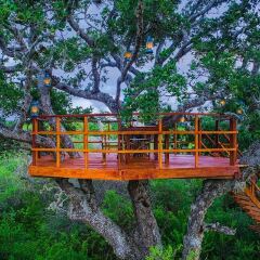 Отель The Sanctuary Yala детские мероприятия фото 2