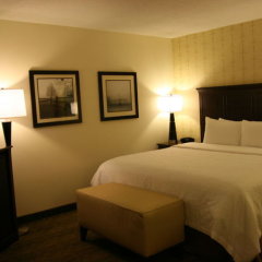 Hampton Inn Dover in Dover, United States of America from 224$, photos, reviews - zenhotels.com guestroom photo 5