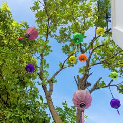 Отель OHANA Garden Boutique Villa