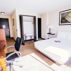 Stay Hotel Waikiki комната для гостей фото 2