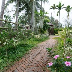 Отель Lama Homestay Hoi An фото 4