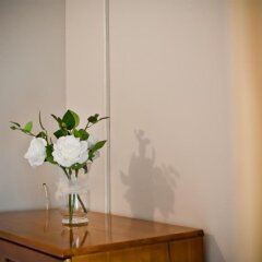 Отель Family Hotel Victoria Gold Болгария, Димитровград - отзывы, цены и фото номеров - забронировать отель Family Hotel Victoria Gold онлайн удобства в номере