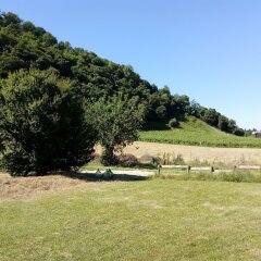 Отель B&b Alla Rotonda Vicenza Италия, Виченца - отзывы, цены и фото номеров - забронировать отель B&b Alla Rotonda Vicenza онлайн приотельная территория фото 2