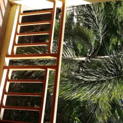 Отель Paddys Palms Resort балкон