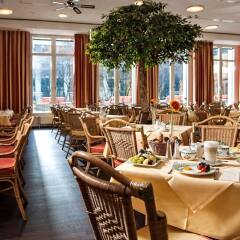 Hotel Elbflorenz Dresden питание