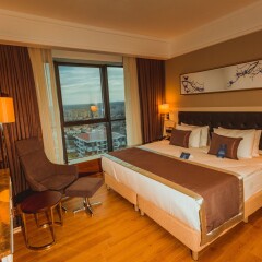 Radisson Blu Hotel Diyarbakir Турция, Диярбакыр - отзывы, цены и фото номеров - забронировать отель Radisson Blu Hotel Diyarbakir онлайн