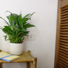 Отель A Green Home удобства в номере