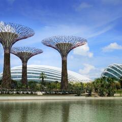 Отель Sheraton Towers Singapore фото 3