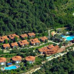 Отель Montana Pine Resort - All Inclusive фото 9