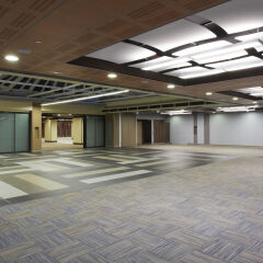 Отель Melia Castilla