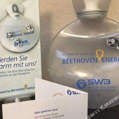 Отель Beethoven Hotel Dreesen - furnished by BoConcept Германия, Бонн - отзывы, цены и фото номеров - забронировать отель Beethoven Hotel Dreesen - furnished by BoConcept онлайн фото 7