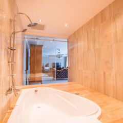 Отель Boutique Hotel Baku Азербайджан, Баку - 1 отзыв об отеле, цены и фото номеров - забронировать отель Boutique Hotel Baku онлайн ванная