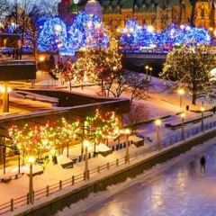 Отель Westin Ottawa Канада, Оттава - отзывы, цены и фото номеров - забронировать отель Westin Ottawa онлайн фото 4