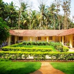 Отель Palolem Beach Resort Индия, Гоа - 1 отзыв об отеле, цены и фото номеров - забронировать отель Palolem Beach Resort онлайн фото 11