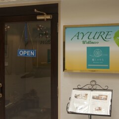 Отель Avalon Courtyard Residence Suites интерьер отеля фото 3