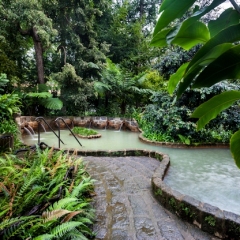 Terra Nostra Garden Hotel фото 5