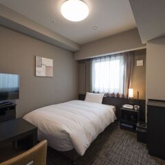 HOTEL ROUTE-INN Grand TOKYO ASAKUSABASHI комната для гостей фото 2