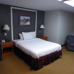 Quality Inn & Suites in Albany, United States of America from 134$, photos, reviews - zenhotels.com guestroom