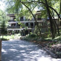 Отель Restaurant Dreri Албания, Тирана - отзывы, цены и фото номеров - забронировать отель Restaurant Dreri онлайн
