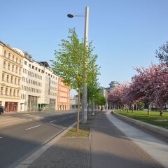Отель City Park Boarding House