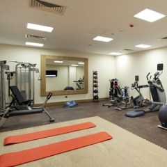 Отель Hilton Garden Inn Istanbul Golden Horn фитнесс-зал фото 3