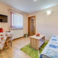 Family Apartments in Zabljak, Montenegro from 72$, photos, reviews - zenhotels.com guestroom photo 2