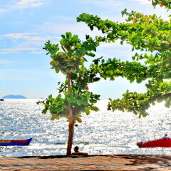Отель Beach Gallery House пляж
