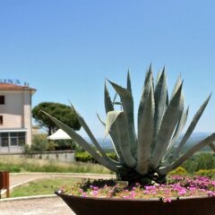Отель Albergo Villa Marina Кьянчиано Терме помещение для мероприятий
