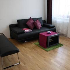 Отель Modern Apartment Vienna - Dietrichgasse Австрия, Вена - отзывы, цены и фото номеров - забронировать отель Modern Apartment Vienna - Dietrichgasse онлайн комната для гостей фото 5
