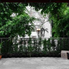 Отель Seedling House
