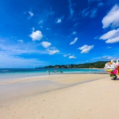Отель Chaweng Garden Beach Resort Таиланд, Самуи - 1 отзыв об отеле, цены и фото номеров - забронировать отель Chaweng Garden Beach Resort онлайн пляж фото 2