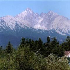 Отель Vila Altwaldorf Словакия, Нова-Лесна - отзывы, цены и фото номеров - забронировать отель Vila Altwaldorf онлайн фото 3