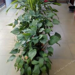 Tingzhou Hostel фото 2