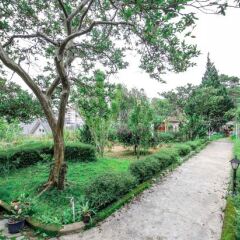 Отель Dalat Train Villa Далат фото 2