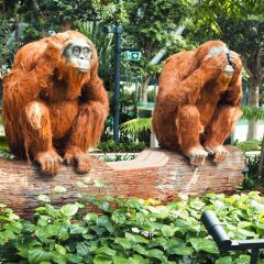 Отель Crowne Plaza Changi Airport Сингапур с домашними животными