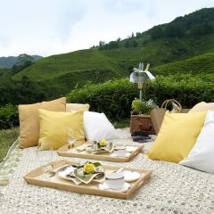 Отель Cameron Highlands Resort в номере